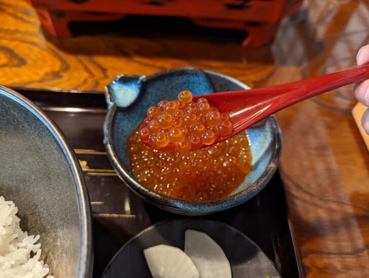 井筒屋のはらこ醤油漬（いくら）