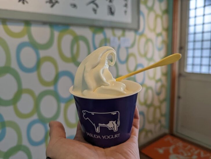 Y&Y GARDENのヨーグルトアイス